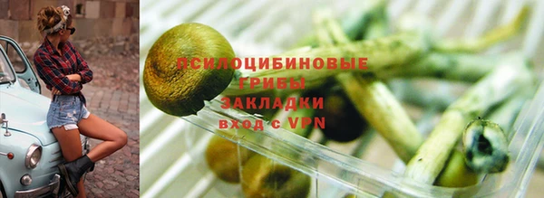 прущие грибы Алексин