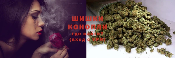 прущие грибы Алексин