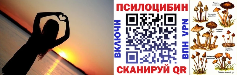 Галлюциногенные грибы GOLDEN TEACHER  купить закладку  darknet клад  Дмитров 